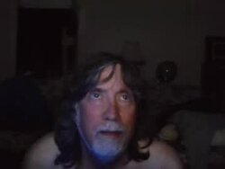 silverfunfox